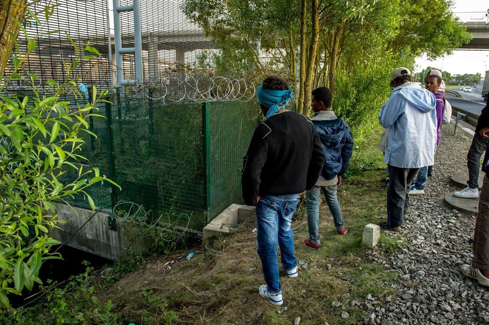 A group of people stands by a green fence with barbed wire, looking towards it.